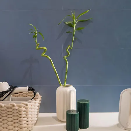 Bed & Breakfast Vivarum Bitonto